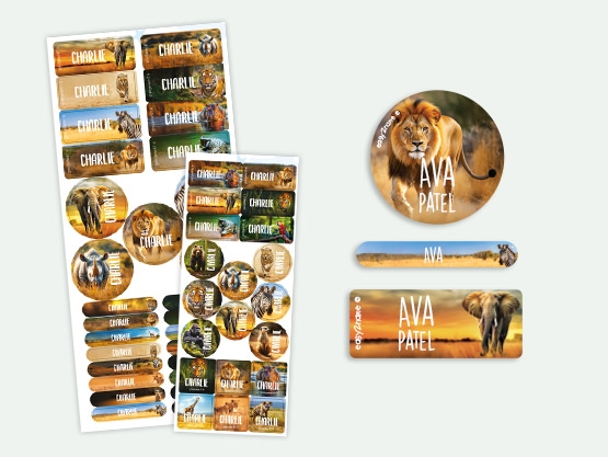 Super Deal - Real World