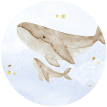 Whale