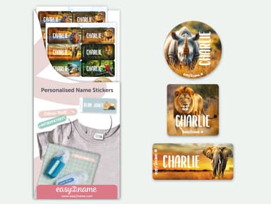 Clothing Sticker Value Set - Real World