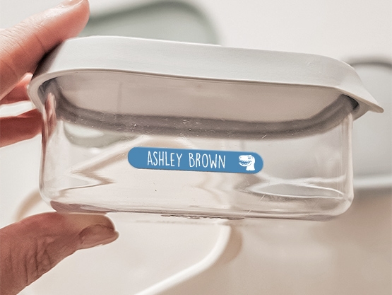 Small Stick On Name Labels (for equipment) – multicolour