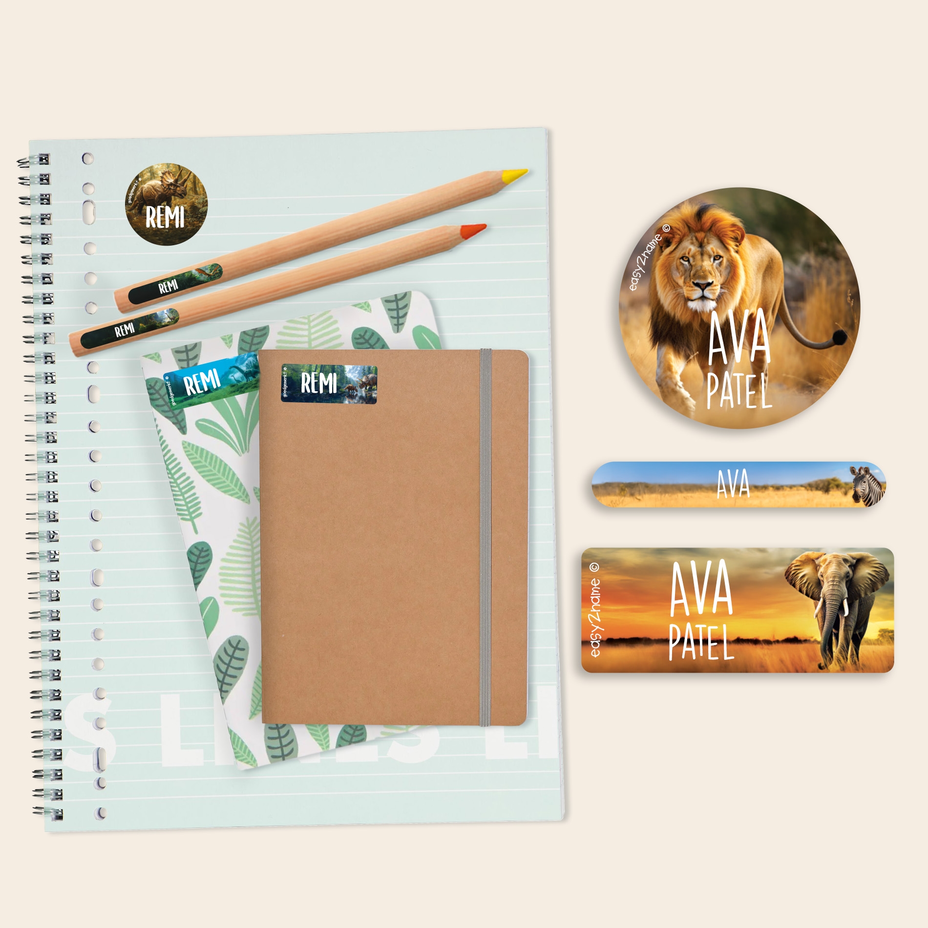Name Sticker Value Set - Real World
