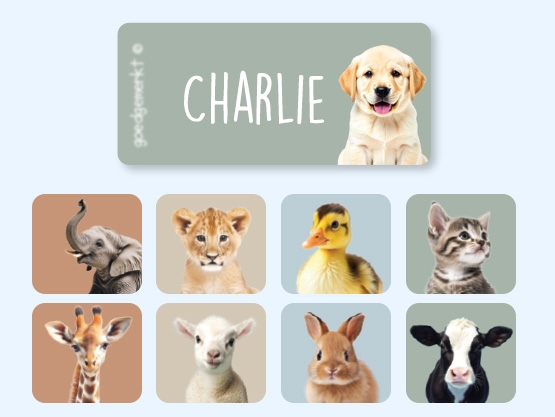 Realistic Clothing stickers