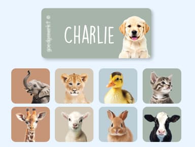 Realistic Clothing stickers