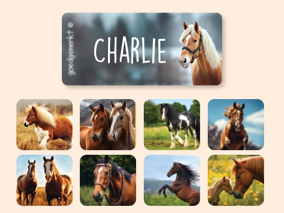 Realistic Clothing stickers