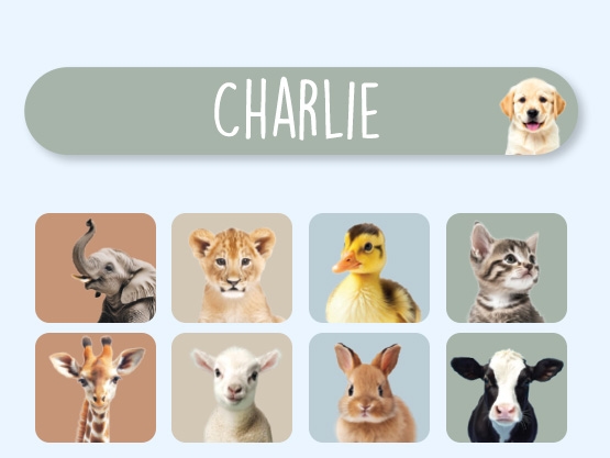 Mini Realistic Name Stickers