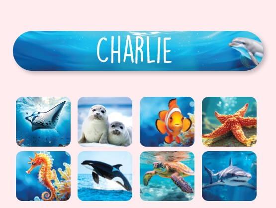 Mini Realistic Name Stickers