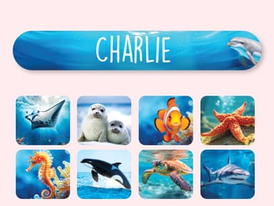 Mini Realistic Name Stickers