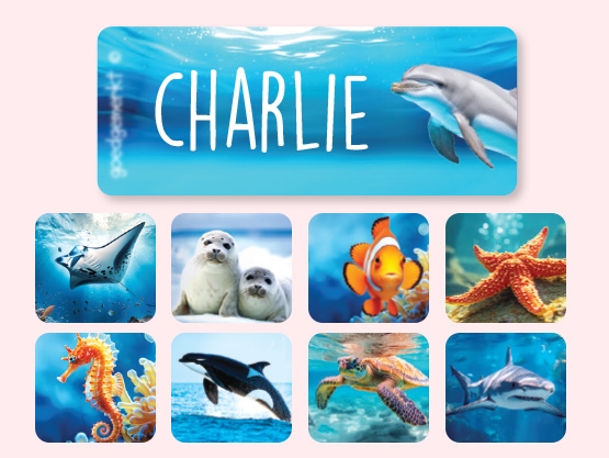 Large Real World Name Stickers