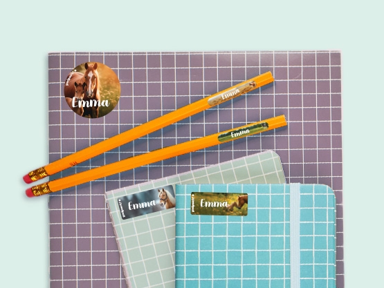 Equipment Name Sticker Value Set - Real World