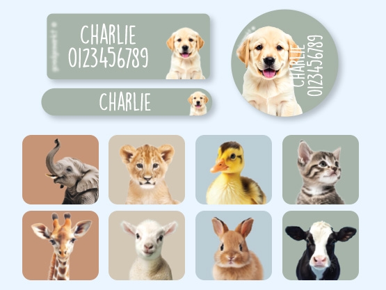 Equipment Name Sticker Value Set - Real World