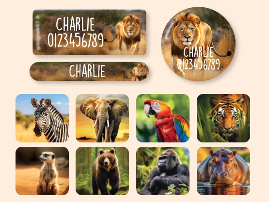 Equipment Name Sticker Value Set - Real World