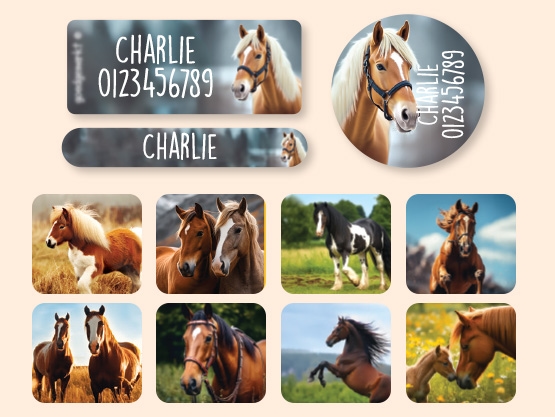 Equipment Name Sticker Value Set - Real World