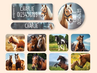 Equipment Name Sticker Value Set - Real World