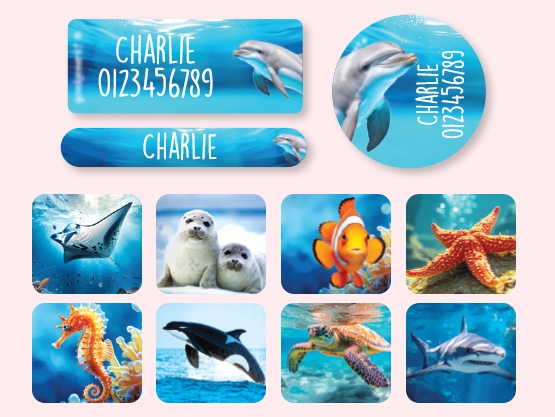 Equipment Name Sticker Value Set - Real World