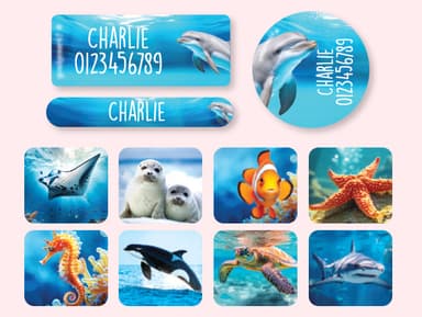 Equipment Name Sticker Value Set - Real World