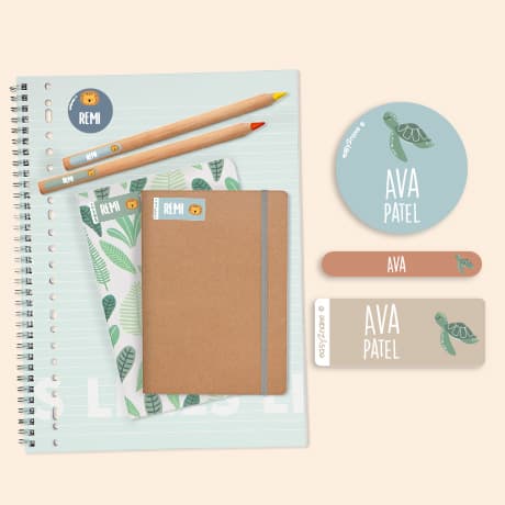 Name Sticker Value Set - Theme
