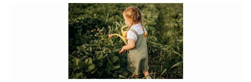 easy2name young farmers grow your own vegetables